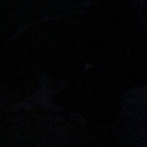 Meet your Posher, Mindy